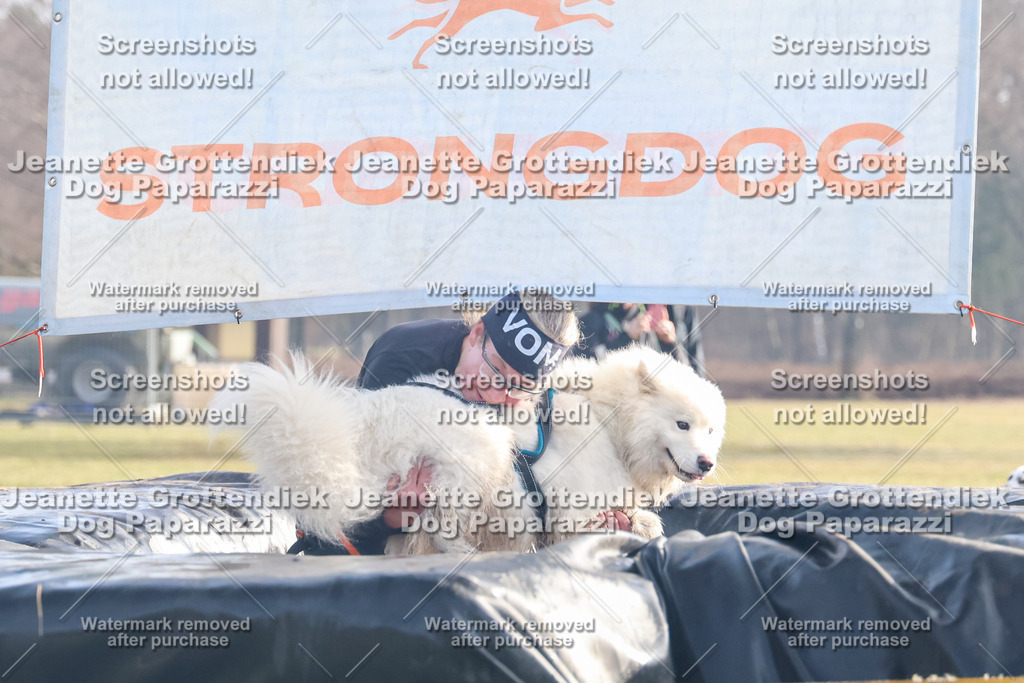 Dog Paparazzi - Strongdog North Mrz26-142 | Dog Paparazzi Jeanette Grottendiek Fotografie & Videografie - Realisiert mit Pictrs.com