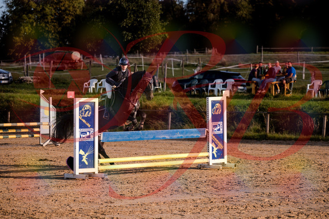 2026_10_03_Siefer-Hof_171603_Z81_13979020 | Professionelle Reitsport-, Turnier- und Eventfotografie von Robert Broda. Galerien mit ausgewählten und bearbeiteten Bildern direkt online ansehen und bestellen.