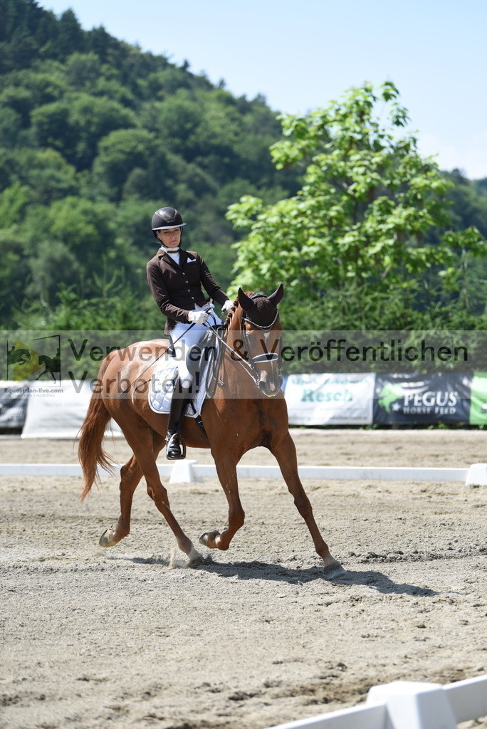 DSC_1398 | equestrian-live-com