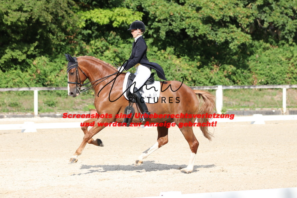 IMG_6482 | lmwpictures - Realisiert mit Pictrs.com