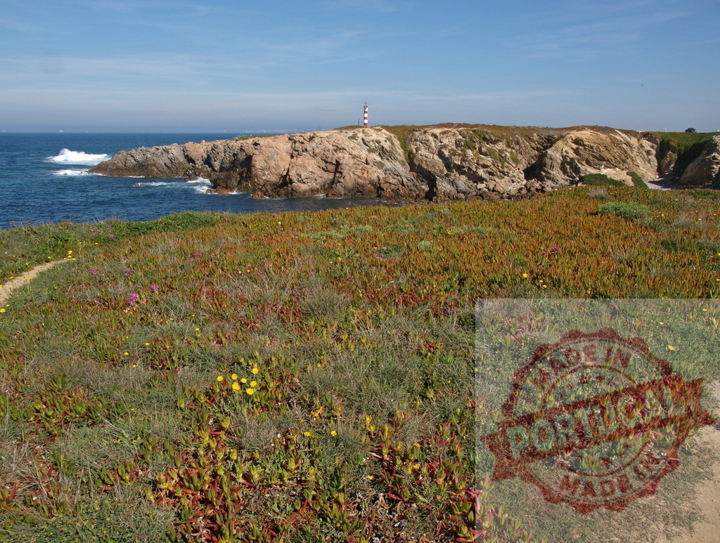 Atlantic coast view with lighthouse and green cliffs | Coastal landscape with a red and white lighthouse on a rocky headland overlooking the sea - Realized with Pictrs.com
