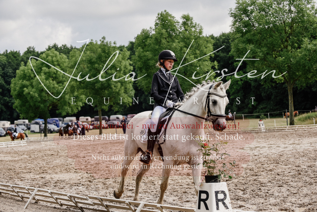 DSC_9460 | Pferde- und Turnierfotografie in Westsachsen. Pferdeportraits, Auftragszeichnungen und intuitive Kunst.