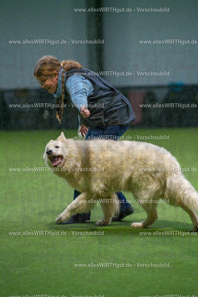 7R500178 | Professionelle Tierfotografie in Mönchengladbach von Daniel Wirth (allesWIRTHgut). Liebevolle & natürliche Bilder von Hunden & Katzen für unvergessliche Erinnerungen.
