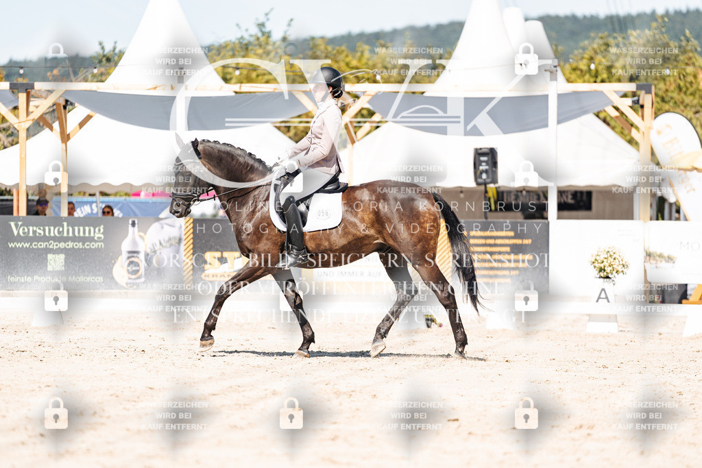 CK909410 | Turnierfotografie Pferdefotografie Trier Rheinland-Pfalz Pferdesport Reitsport Tierfotografie Sportfotografie Pferdevideo Pferdevideografie Equestrianvideography equestrianphotography  - Realisiert mit Pictrs.com