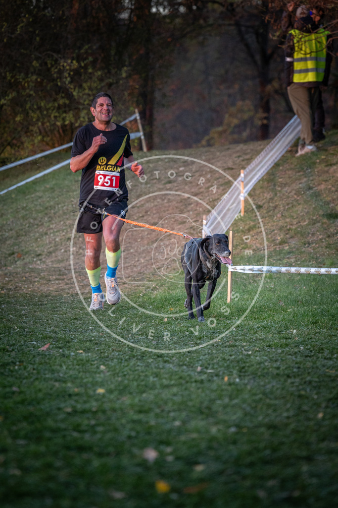 CaniXpix_0L8A2095 | Hundefotografie, Tierfotograf, Pfotenfotografie, Fotoshooting Hund, Hunde Portrait, Hundesport, Hundeportraits, Heideshooting, Hunde, Sportfotograf, Hundefotograf, Turnierhundsport, THS,  - Realisiert mit Pictrs.com