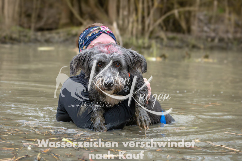 1353_ZZ93787 | kk-dogfotos