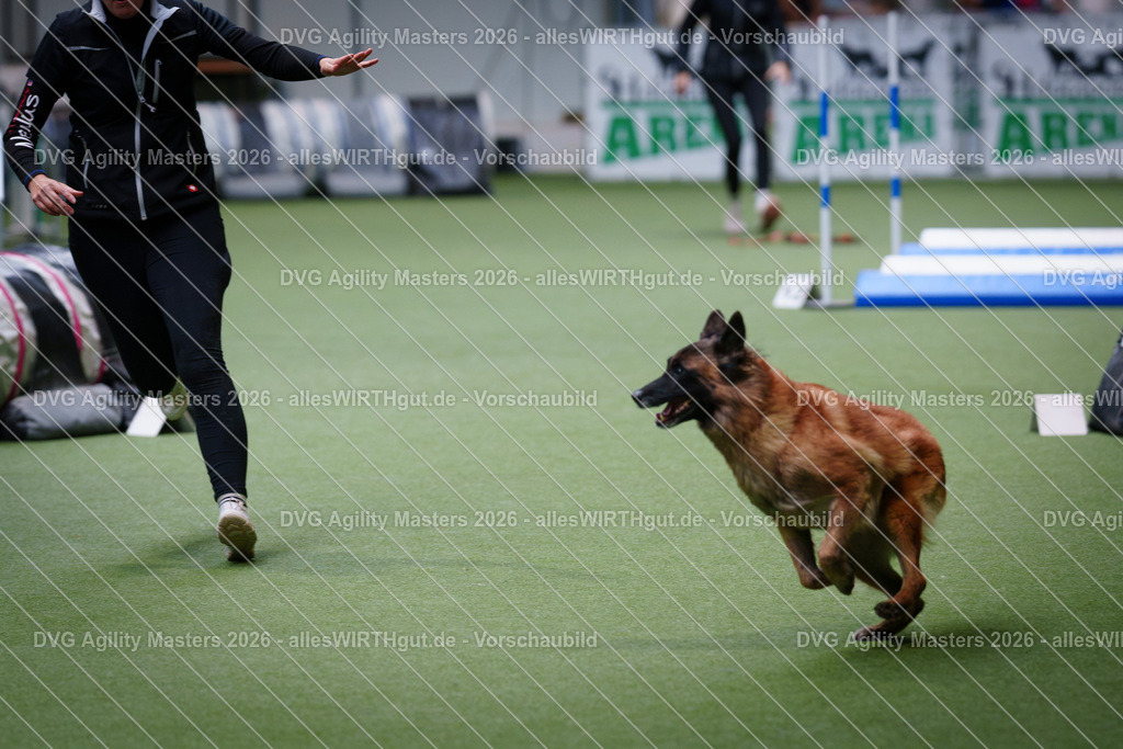 allesWIRTHgut_Tierfotografie-DVG_Agility_Masters_2026-11_08-7R501195 | Professionelle Tierfotografie in Mönchengladbach von Daniel Wirth (allesWIRTHgut). Liebevolle & natürliche Bilder von Hunden & Katzen für unvergessliche Erinnerungen.