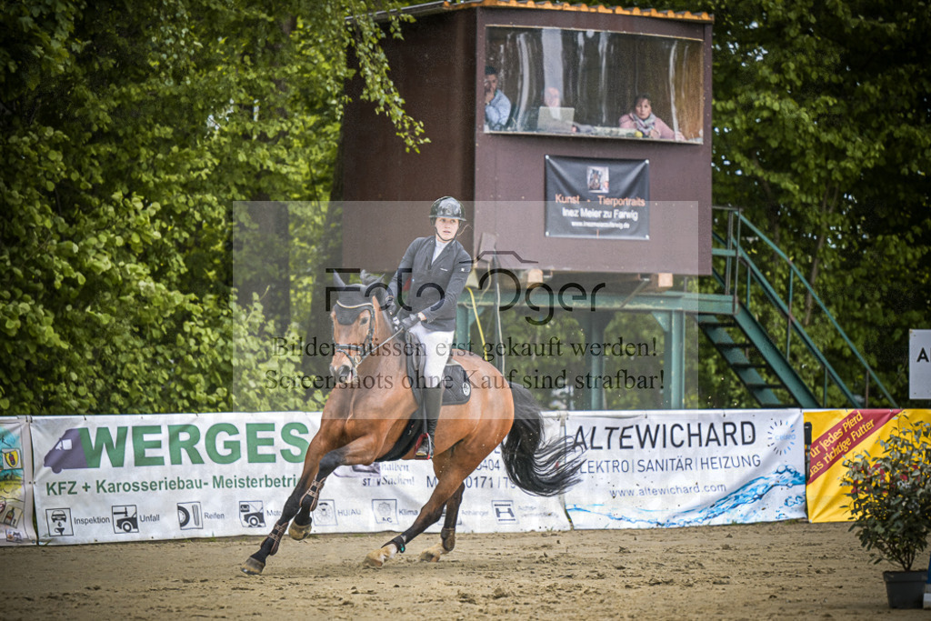 DOS_9616 | Entdecke hochwertige Reitturnierfotos von Foto Oger. Professionell, emotional und authentisch – jetzt Lieblingsmomente im Shop bestellen.Deutschlandweite Turnierfotografie. - Realisiert mit Pictrs.com