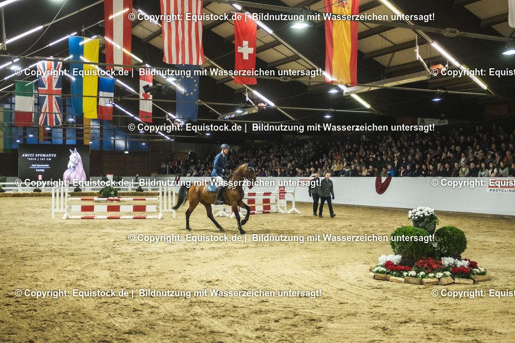 20240302_Hengstvorstellung_Marbach_TOMsPiC_0458 | equistock