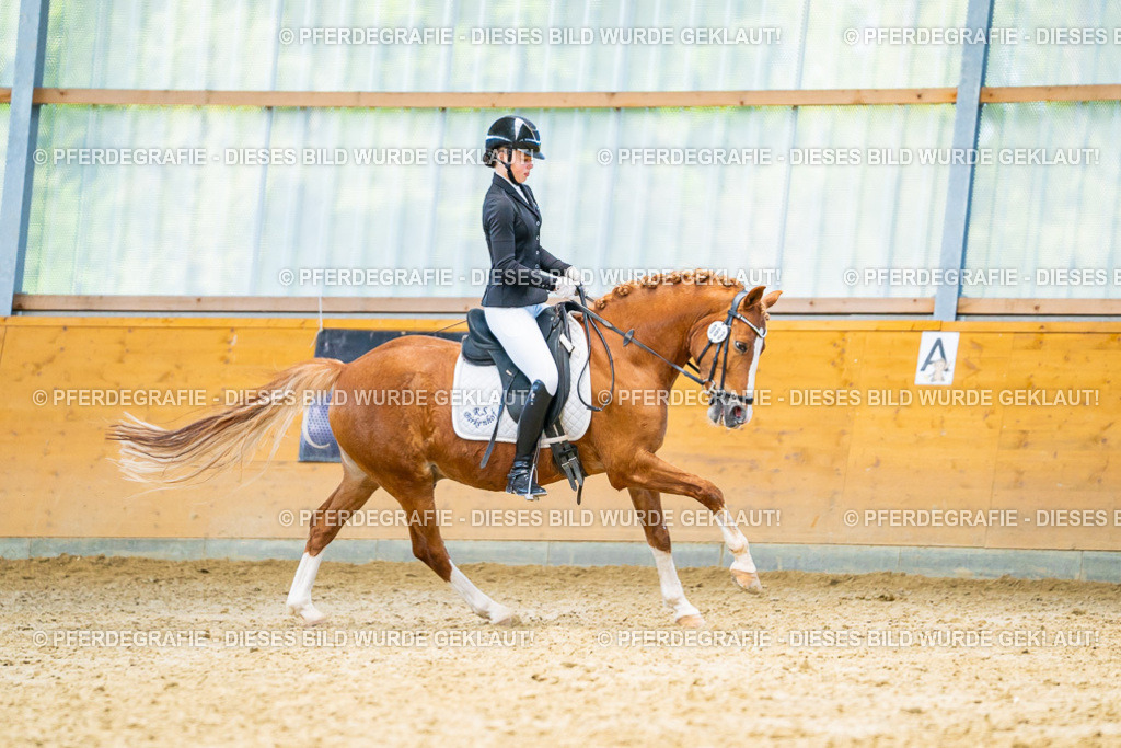 DSC08132 | Pferdegrafie