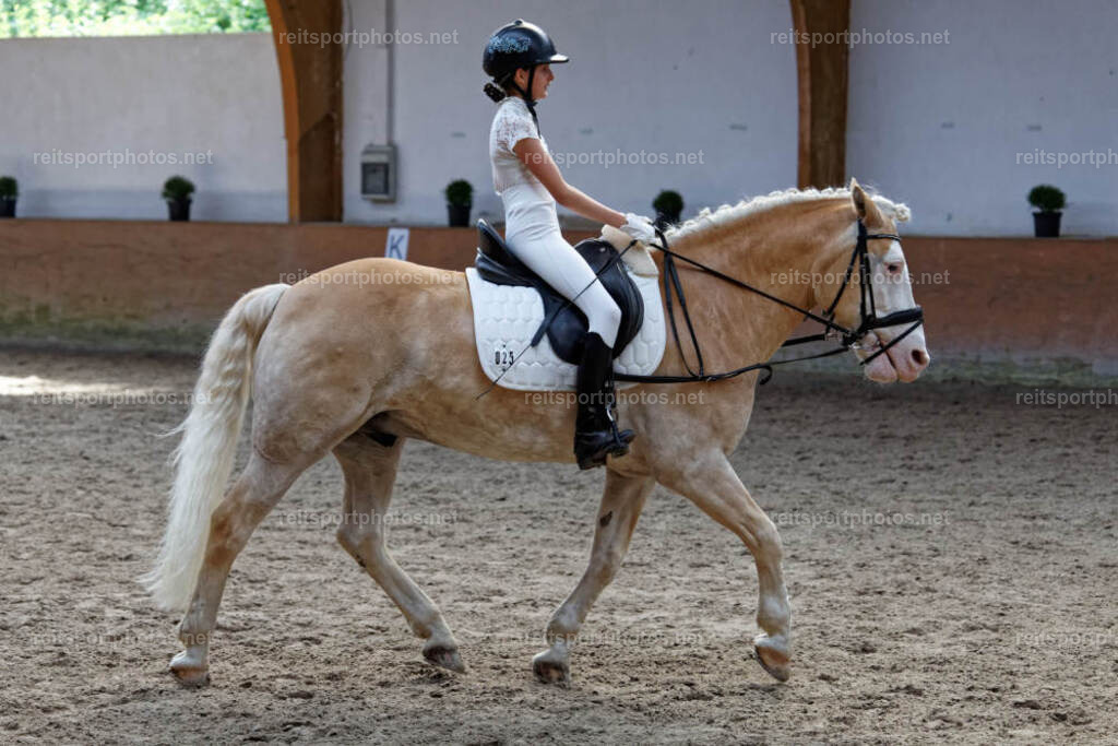 JHE33765 | JoYa Fotografie - Realisiert mit Pictrs.com