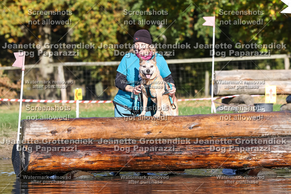 Dog Paparazzi - Strongdog 10-25-8726 | Dog Paparazzi Jeanette Grottendiek Fotografie & Videografie - Realisiert mit Pictrs.com