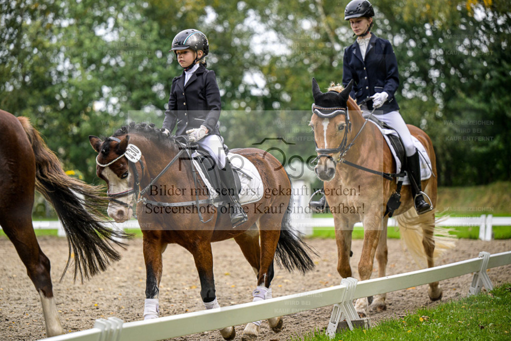 FOTO OGER | Entdecke hochwertige Reitturnierfotos von Foto Oger. Professionell, emotional und authentisch – jetzt Lieblingsmomente im Shop bestellen. - Realisiert mit Pictrs.com