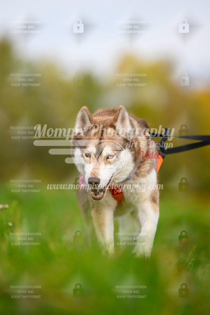 MompixPhotography_CDLBDB2025_DI_CC-161 | PayLife