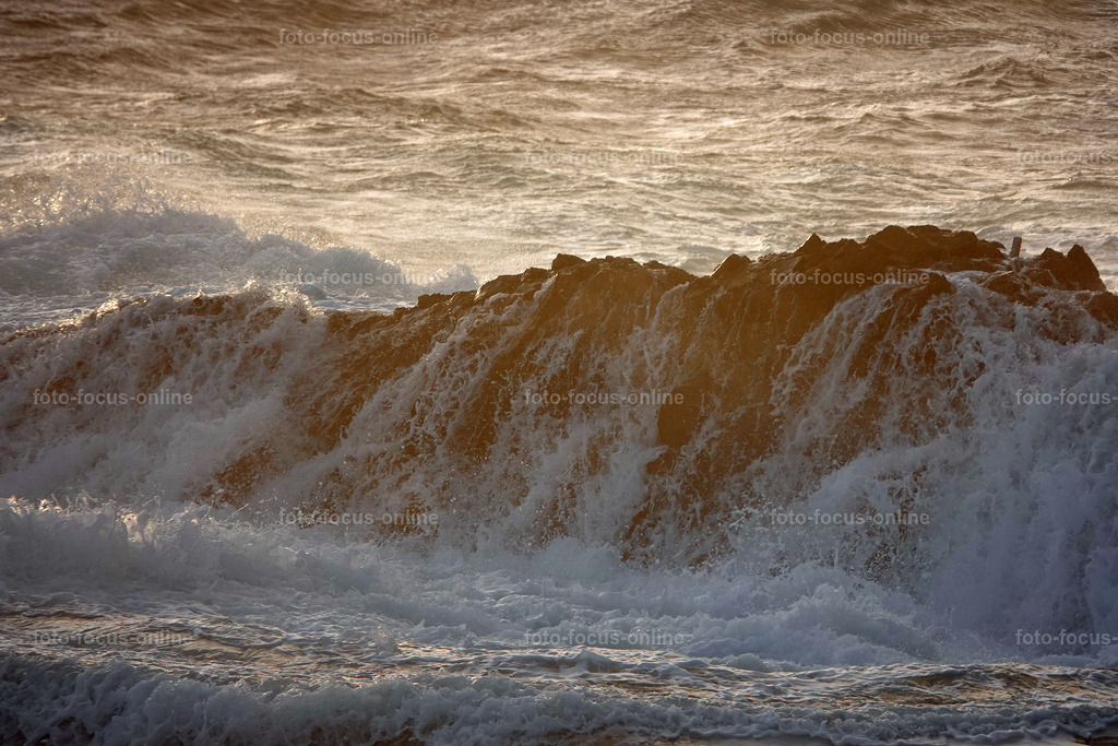 66 | foto-focus-online