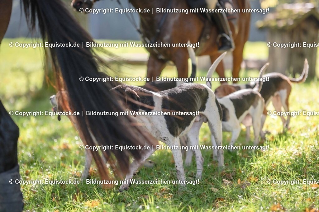 20251011_Jagd-Marbach_0449 | Foto: Thomas Hartig