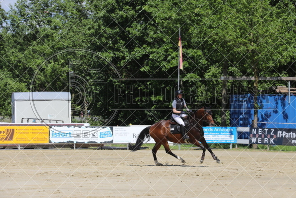 IMG_5105 | photographesa-joergens - Realisiert mit Pictrs.com