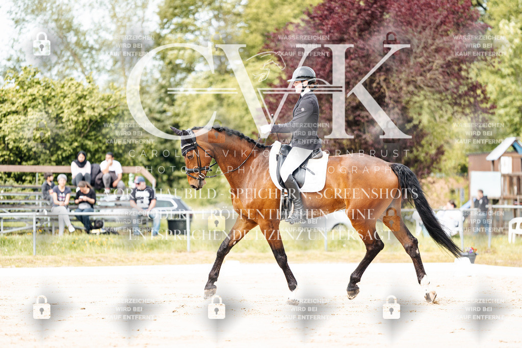 CK900743 | Turnierfotografie Pferdefotografie Trier Rheinland-Pfalz Pferdesport Reitsport Tierfotografie Sportfotografie Pferdevideo Pferdevideografie Equestrianvideography equestrianphotography  - Realisiert mit Pictrs.com