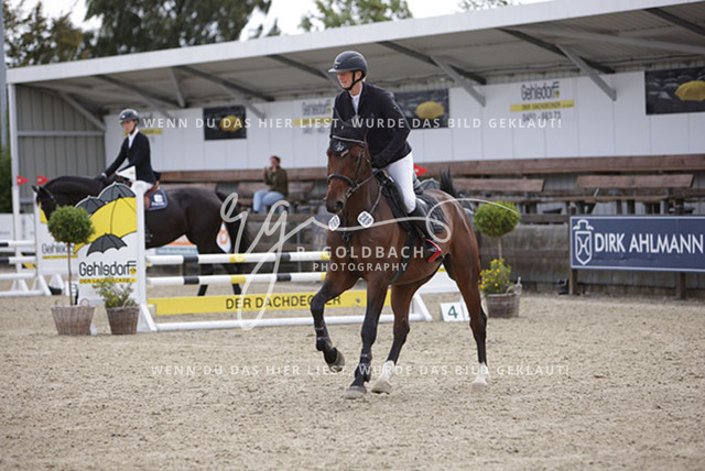 1J2A2144Britta Braunert_ Convolto PS_ Kn289_ Havekost | Foto- und Videografie für alles rund ums Pferd. Hochwertige Bilder und Videos vom Spring- und Dressurreiten, Voltigieren & mehr. Jetzt aktuelle Veranstaltungen und Preise im Shop ansehen. - Realisiert mit Pictrs.com