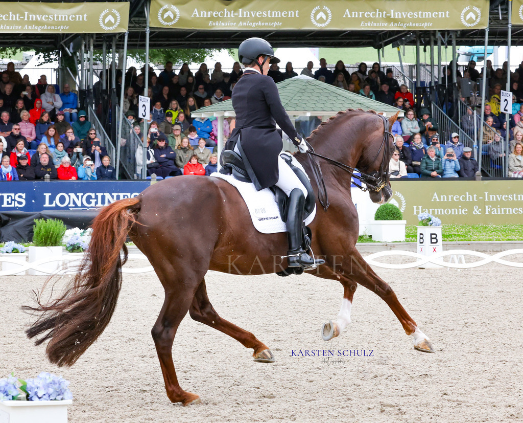 1B3A8340 | Reitsport Reiten