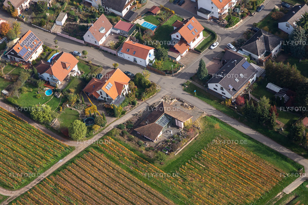 Südring | Luftbild: Südring im Ortsteil Schweigen in Schweigen-Rechtenbach im Bundesland Rheinland-Pfalz in Deutschland. Foto: IMG_123802.jpg vom 07.11.2020 durch ©2025 Werner Riehm fly-foto.de/copyright - Realisiert mit Pictrs.com