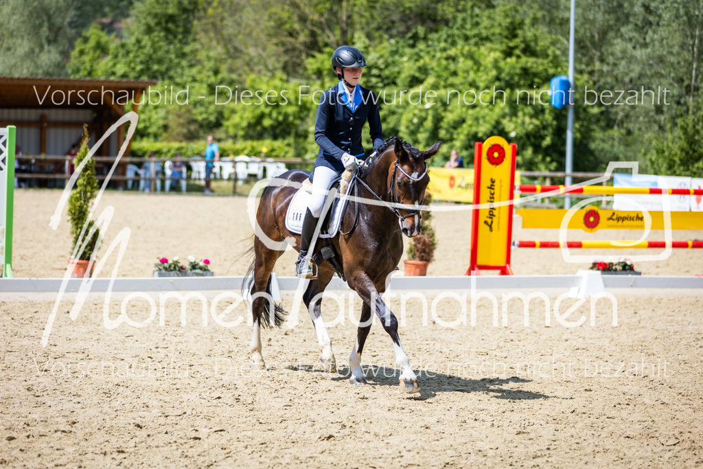 Donop24-EDre-024 | MomenTaufnahmen Pferdesportfotos