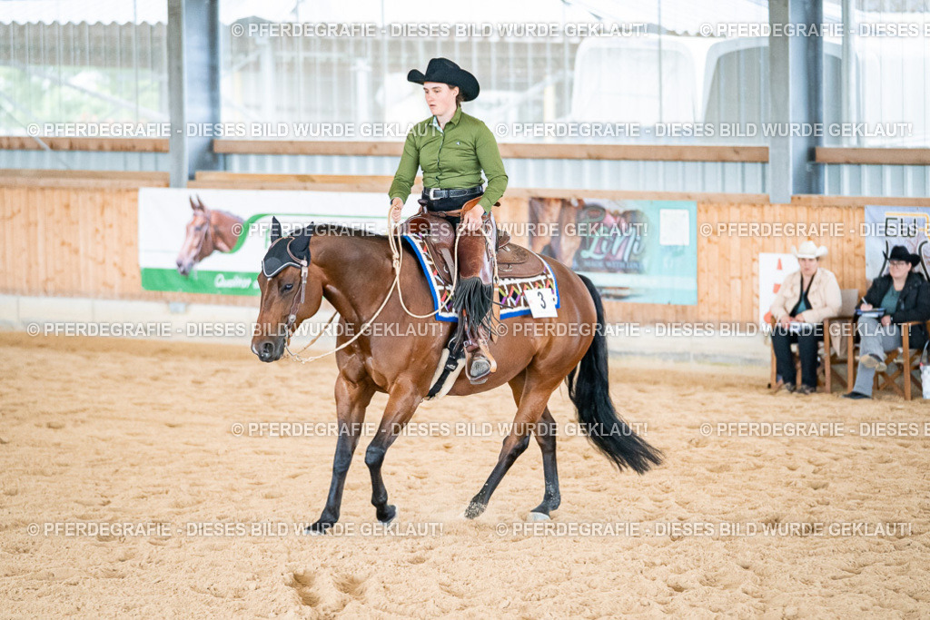 DSC02844 | Pferdegrafie