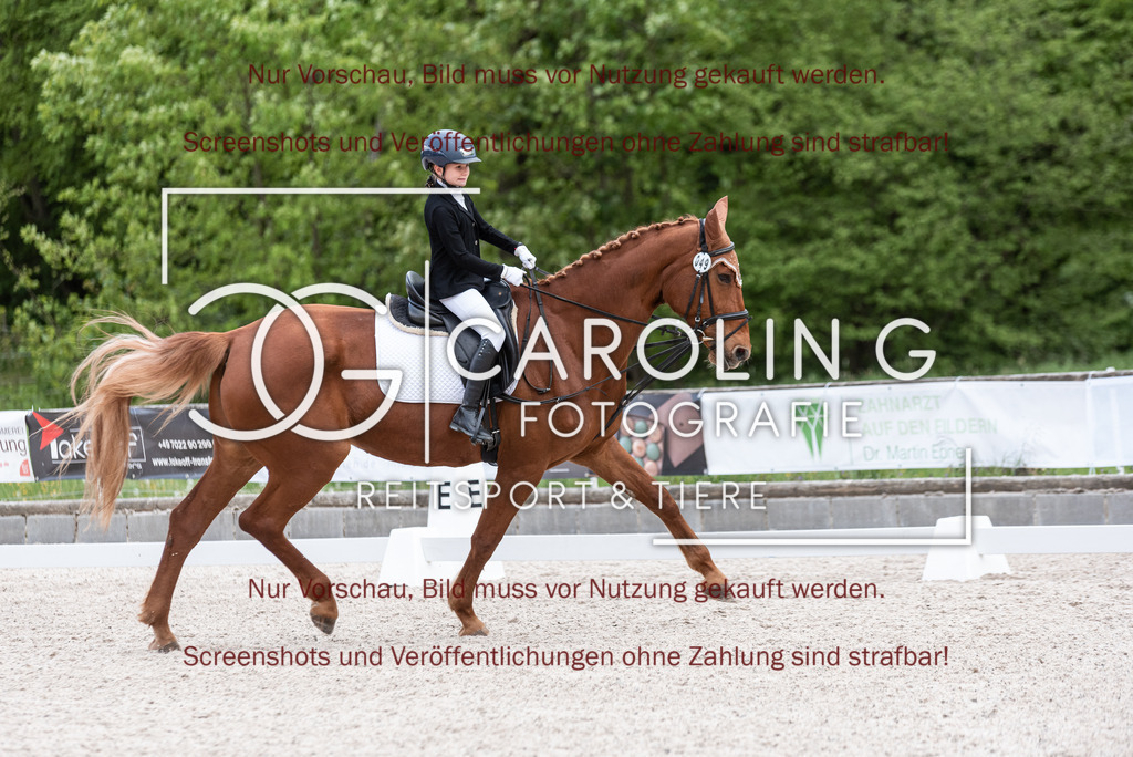 DSC_6566 | Turnierfotografin Carolin Gieschke, Turnierfotografie Carolin G Fotografie, Turnierfotos Kirchheim/Teck, Esslingen, Stuttgart, Bodenseekreis