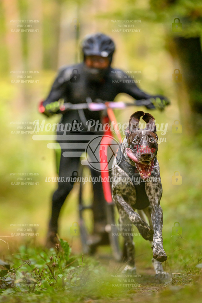 MompixPhotography_Yens2025_B2-12 | PayLife