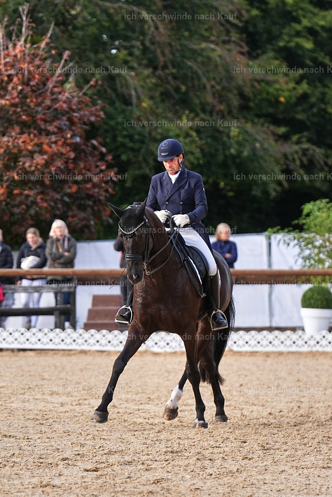 13-058-S___ -Marixx-7074 | working equitationturnier fotograf videograf stoibphotography marixx film working equitation deutschland reitsport turnierfotografie eventfotografie equestrian events