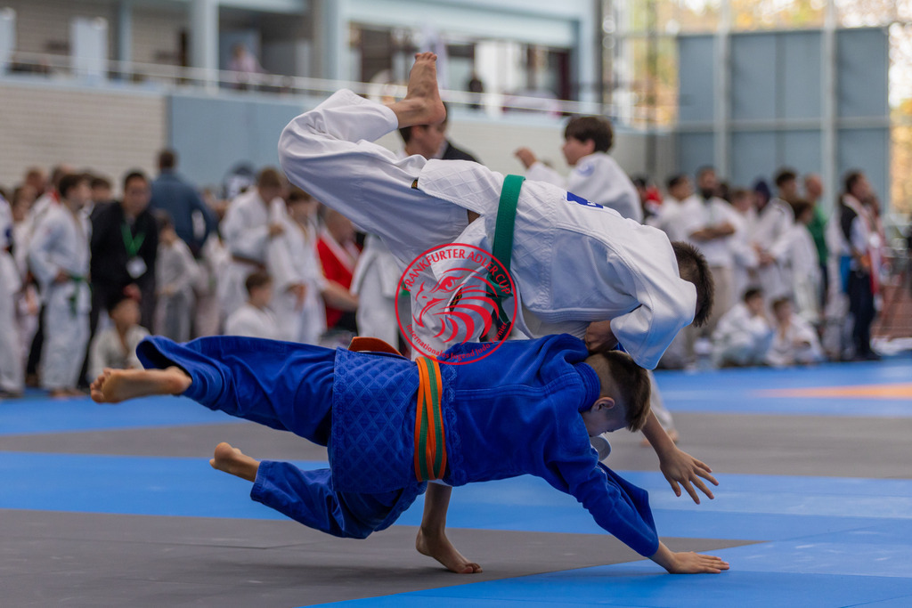 Internationaler Adler Cup 2024 | Foto vom Internationalen Adler Cup Judo Turnier im Sport- und Freizeitzentrum Kalbach im Oktober 2024 - Realisiert mit Pictrs.com