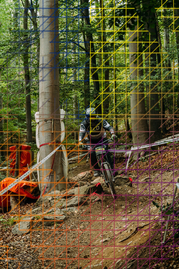 PAE-2055 | Einzigartige Fotokunst für dein Zuhause: Entdecke hochwertige Wandbilder, edle Prints und emotionale Motive von Wildlife, Natur und Landschaften - Realisiert mit Pictrs.com