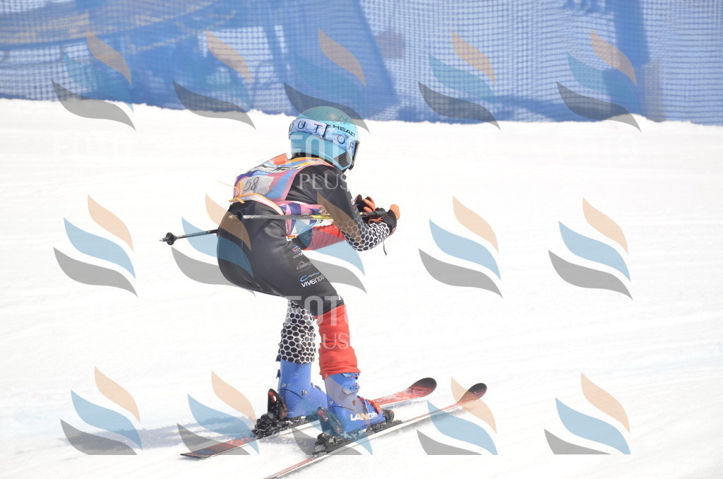 _ELE8959 | holidayphoto