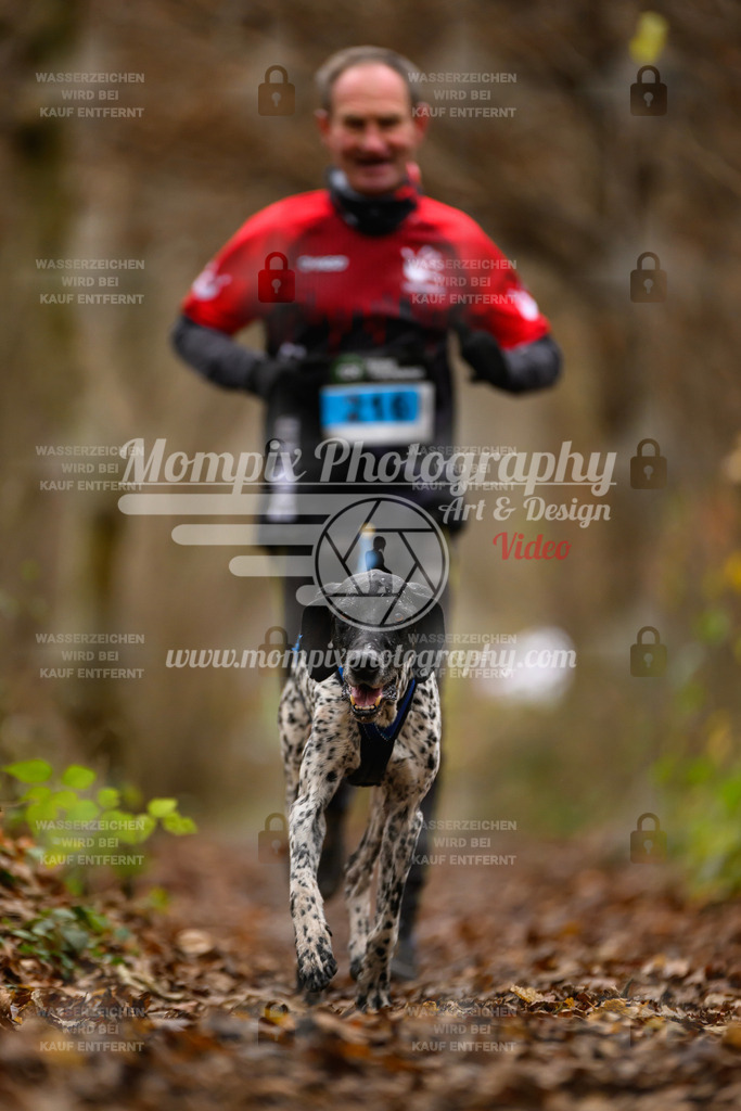 MompixPhotography_Eschau2024_CCC-65 | PayLife