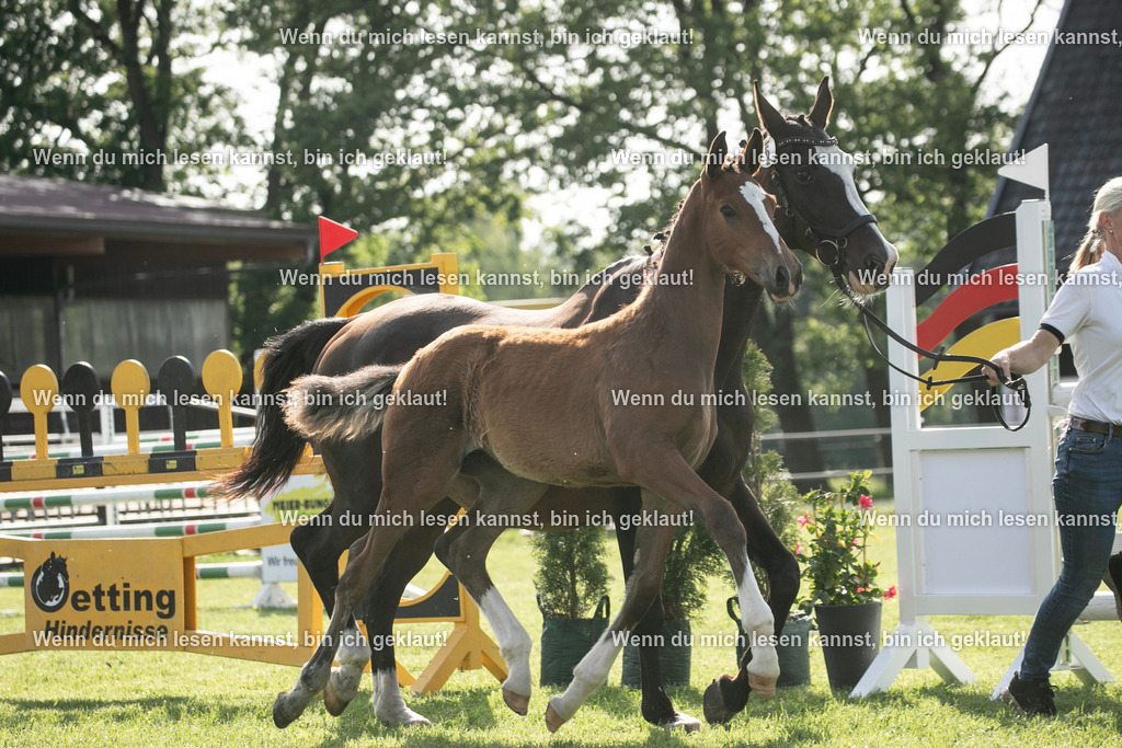 598A7010 | photographylinaismer - Realisiert mit Pictrs.com