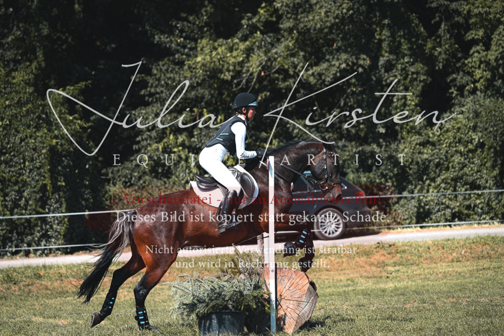 DSC_8214 | Pferde- und Turnierfotografie in Westsachsen. Pferdeportraits, Auftragszeichnungen und intuitive Kunst.