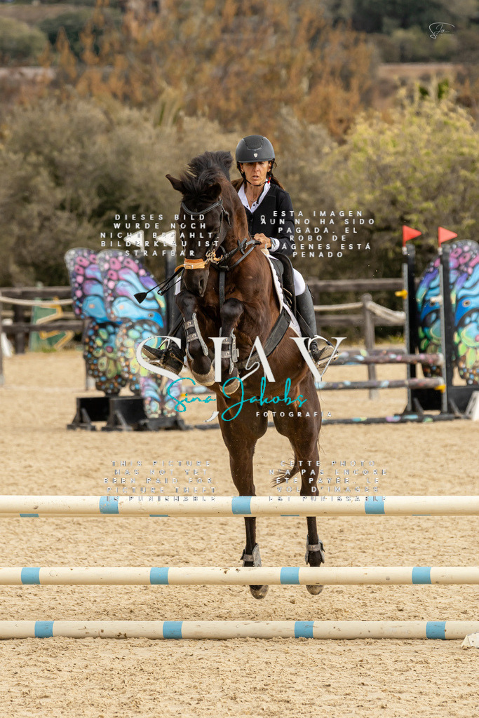 IMG_4541 | s-jay-photography - Realisiert mit Pictrs.com