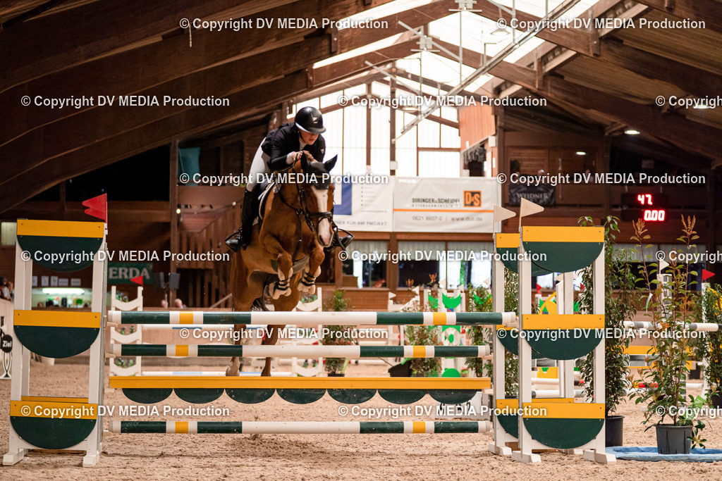 Springen Tag 1-549 | dv-media-shop - Realisiert mit Pictrs.com