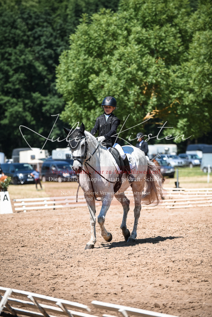 DSC_3095 | Pferde- und Turnierfotografie in Westsachsen. Pferdeportraits, Auftragszeichnungen und intuitive Kunst.