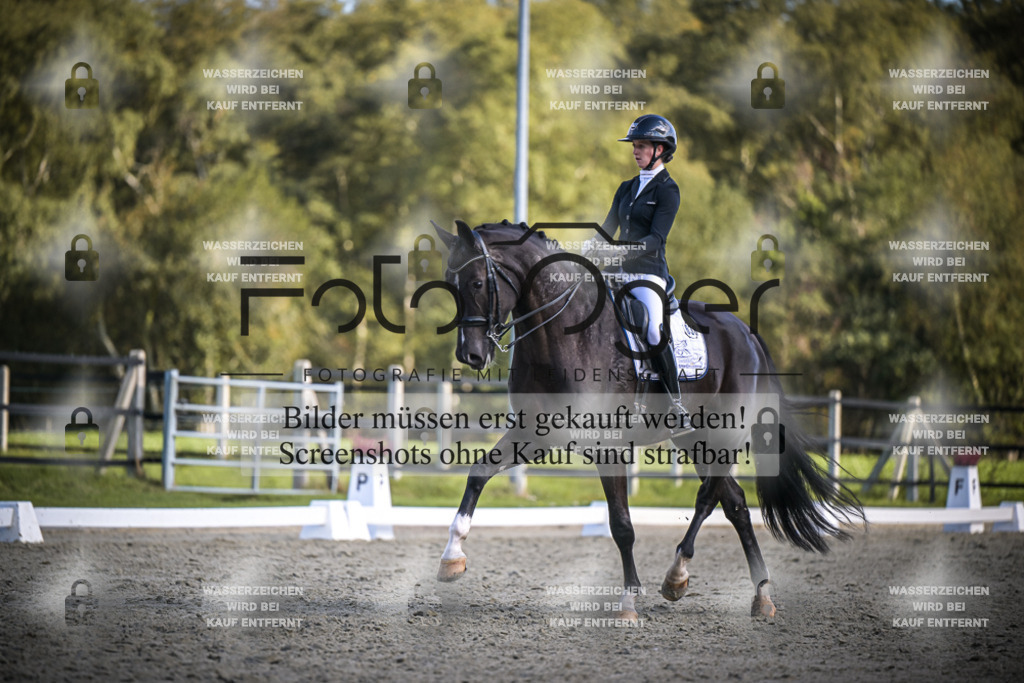 DOS_4218 | Entdecke hochwertige Reitturnierfotos von Foto Oger. Professionell, emotional und authentisch – jetzt Lieblingsmomente im Shop bestellen.Deutschlandweite Turnierfotografie. - Realisiert mit Pictrs.com