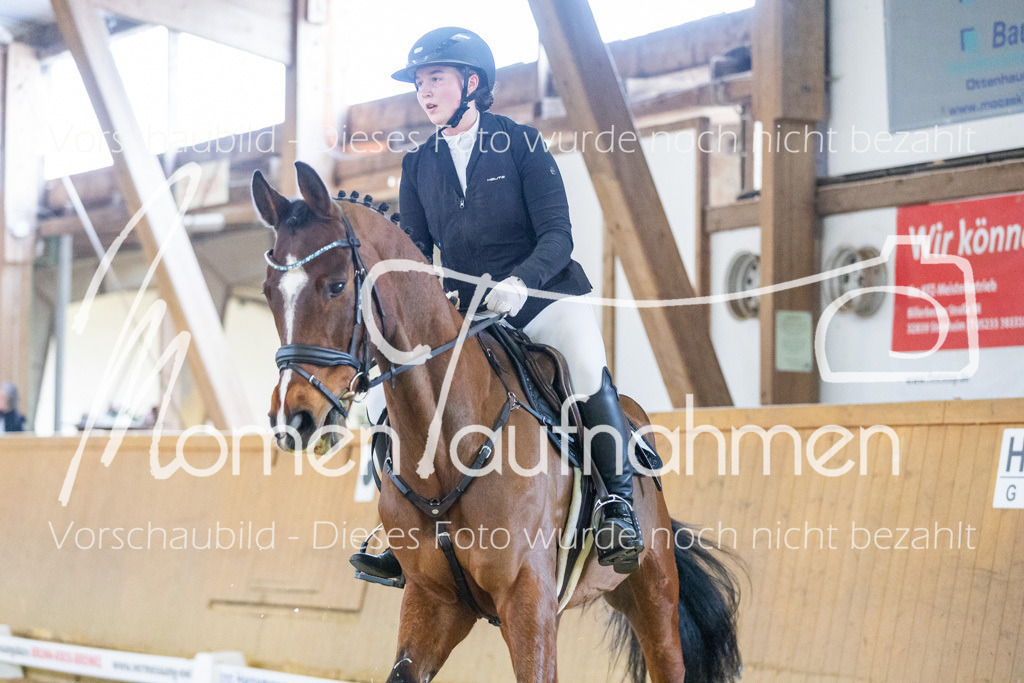 Sth-LPO25-Kombi-038 | MomenTaufnahmen Pferdesportfotos