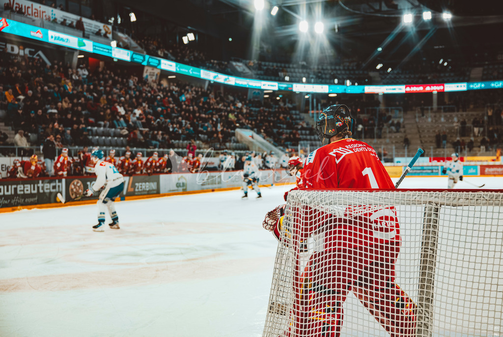 EHCB vs GCK _1-770158080 | Sportbilder, Sportfotograf, Hochzeits- und Eventfotografin, Flugshows, Portraits und Tiershooting, Aviation, Downhill, Nationalleague, Swissleague, International