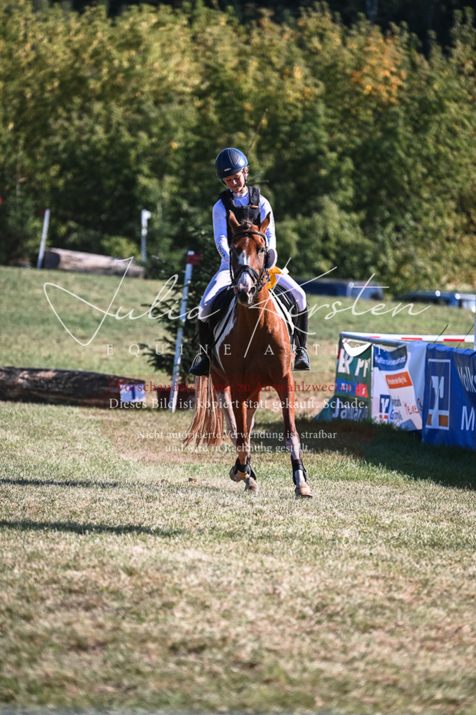 DSC_7048 | Pferde- und Turnierfotografie in Westsachsen. Pferdeportraits, Auftragszeichnungen und intuitive Kunst.
