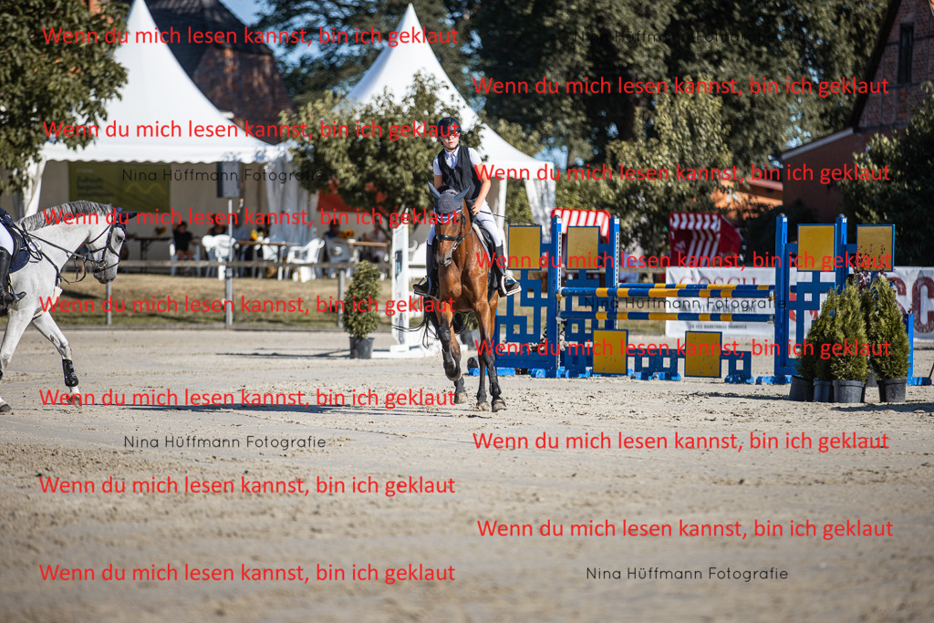 BK1A7398 | Turnierbilder Turnierfotos Nina Hüffmann Turnierfotografie Pferdefotografie Tierzeichnung Haustierzeichnung Pferdezeichnung Hundezeichnung Videograf  - Realisiert mit Pictrs.com