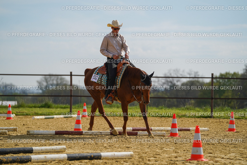 DSC01564 | Pferdegrafie