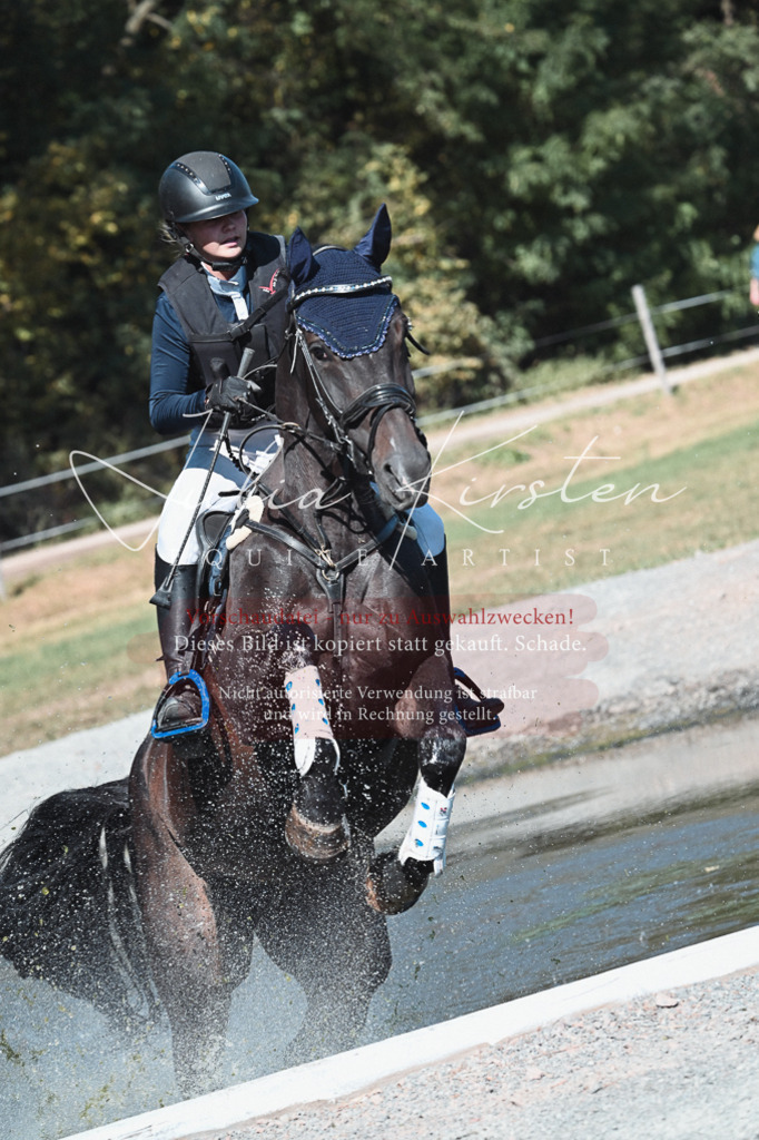 DSC_8580 | Pferde- und Turnierfotografie in Westsachsen. Pferdeportraits, Auftragszeichnungen und intuitive Kunst.