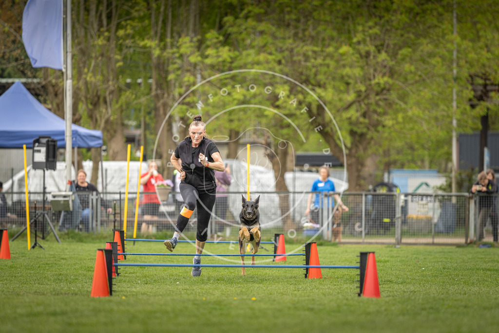 Pfotenfotografie_DV3A8332 | Hundefotografie, Tierfotograf, Pfotenfotografie, Fotoshooting Hund, Hunde Portrait, Hundesport, Hundeportraits, Heideshooting, Hunde, Sportfotograf, Hundefotograf, Turnierhundsport, THS,  - Realisiert mit Pictrs.com