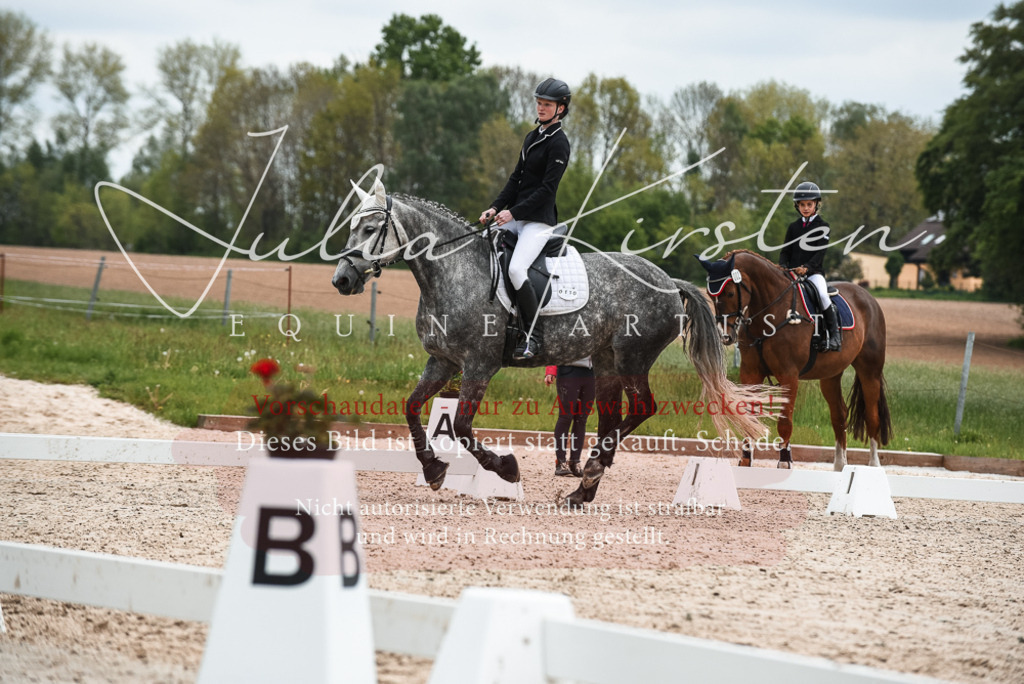 20230518_JK-Röhrsdorf-10-410 | Pferde- und Turnierfotografie in Westsachsen. Pferdeportraits, Auftragszeichnungen und intuitive Kunst.