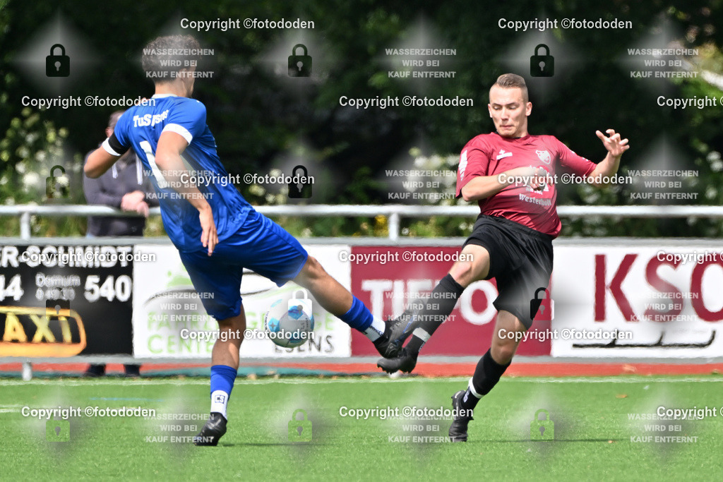 DSC_3853 | fotododen.de präsentiert ein umfangreiches Sportfoto Archiv mit Aufnahmen aus verschiedenen Sportarten im Raum Ostfriesland.