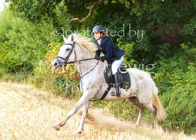 Jagd Knoop 26_MarinaHewigMCH02569 | Fotografie, FotoArt, PferdesportArt, Pferdesportfotografie, Landschaftsfotografie, Reisefotografie, Reise, Pferde - Realisiert mit Pictrs.com